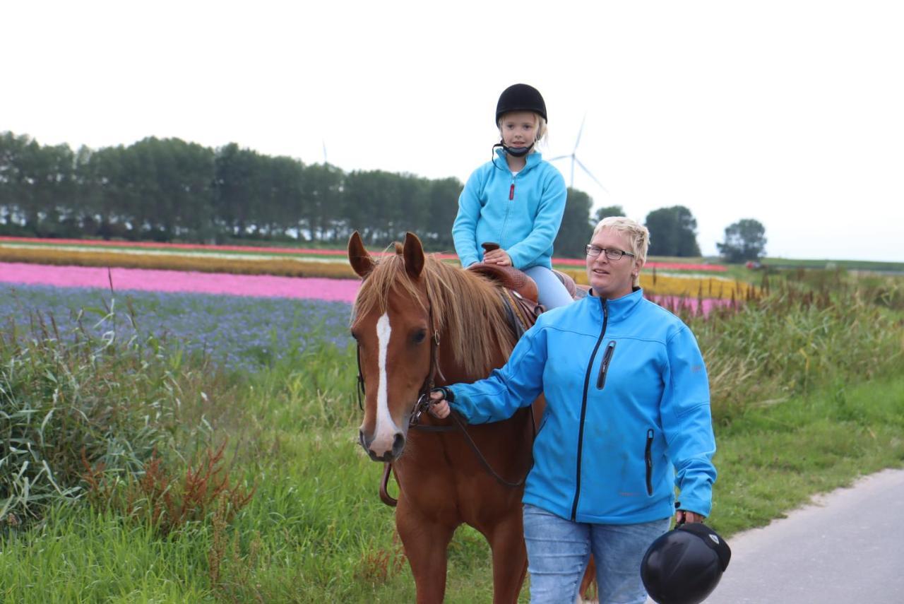 Strandhut 64 Sint Annaland Bagian luar foto