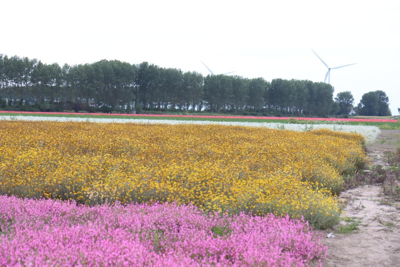 Strandhut 64 Sint Annaland Bagian luar foto