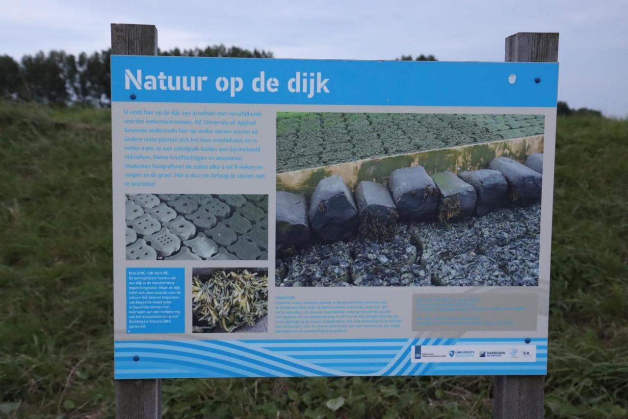 Strandhut 64 Sint Annaland Bagian luar foto