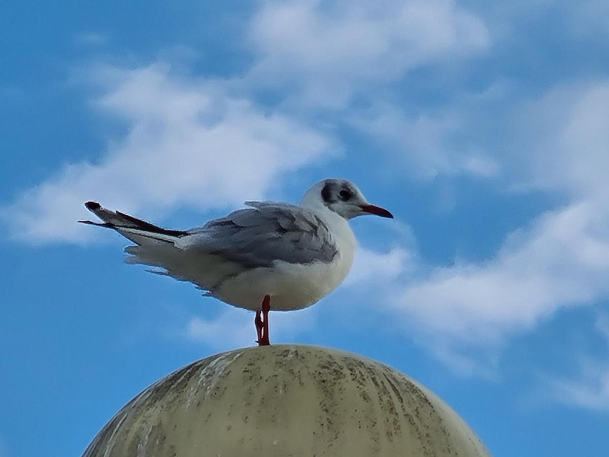 Strandhut 64 Sint Annaland Bagian luar foto